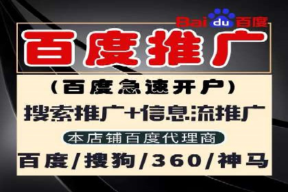 百度推广代运营公司助力企业快速占领市场